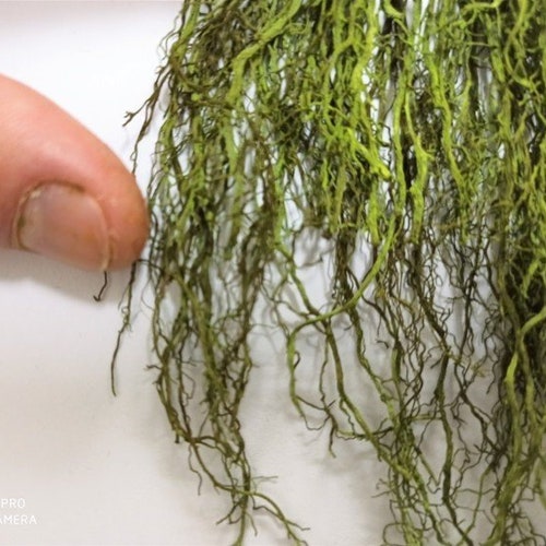 Accessories Diorama Vegetation for the Diorama Model Railway Etsy