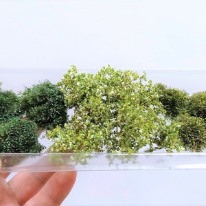 May include: A clear plastic container filled with various shades of green and light green artificial foliage. The foliage is arranged in a random pattern and appears to be made of fine fibers.