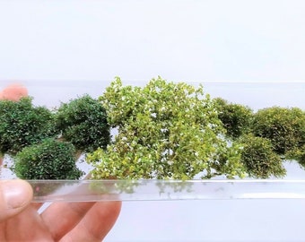 茂みミックスパック003とカラフルな花のジオラマ、スケールモデル、モデルシーン、ミニチュア、風景