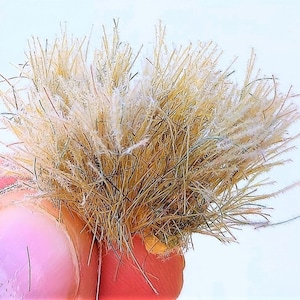 27 mm high - 22 new tufts of dry grass white alba grass dip17304