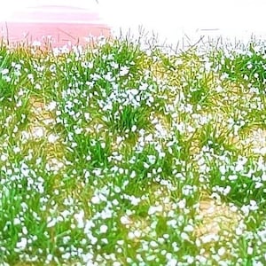 Tufts of grass 2-4 mm with white flowers height 3/5 mm dip88158