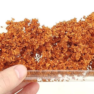 Può includere: Un contenitore di plastica trasparente pieno di fogliame secco marrone-arancio. Il fogliame sembra essere composto da piccoli pezzi simili a foglie, forse per modellismo o artigianato. Il contenitore è tenuto da una mano.