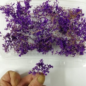 Foliage, bush or tree crown w21 lavender diorama, Scale Models, model scene, Miniature, Landscape
