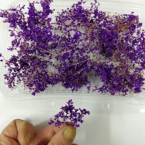 Accessories Diorama Vegetation for the Diorama Model Railway Etsy