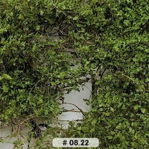 Può includere: Fogliame verde denso e folto. Il fogliame è disposto in un motivo denso e stratificato, creando un aspetto naturale e organico. L'immagine include il testo "# 08.22".