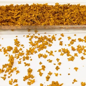 Natural Leaves Mix Yellow Autumn Pro realistic