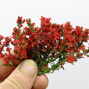 Belsa Flor - red flower or flowering bush