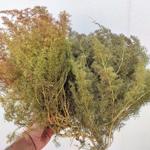 Super Realistic Model Trees / bush Armatures for all stairs modelO hO 00 n wargame diorama train backdrop READ BEFORE BUYING