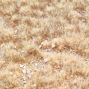 Crushed base - ground with crushed stone and light dry grass A4 wg153s approximately 21 cm x 30 cm surface