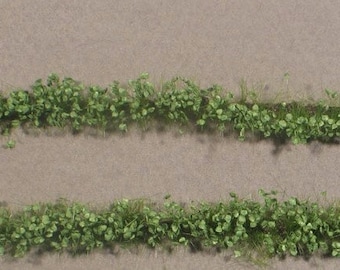 May include: Two rows of green clover plants growing in a brown dirt patch. A ruler with the measurement "1 cm" is visible in the upper right corner of the image.