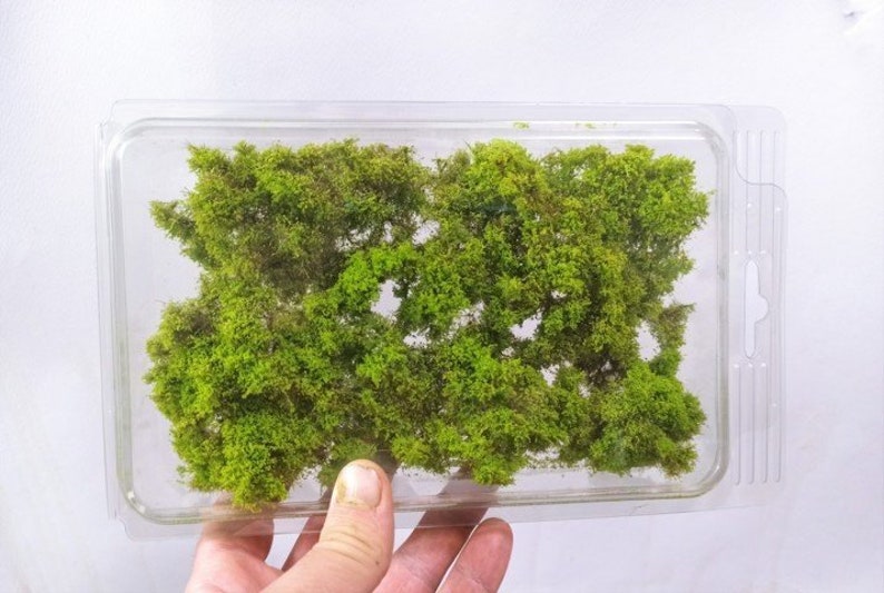 Light Green Bush T-17 Universal Scale Deluxe Line Dioramapresepe Light Green Bush T-17 Universal Scale Deluxe Line Dioramapresepe