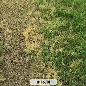 May include: Close-up of a patch of grass with a section of brown, dry grass. The grass is green and brown. The text # 16.14 is visible in the bottom right corner of the image.