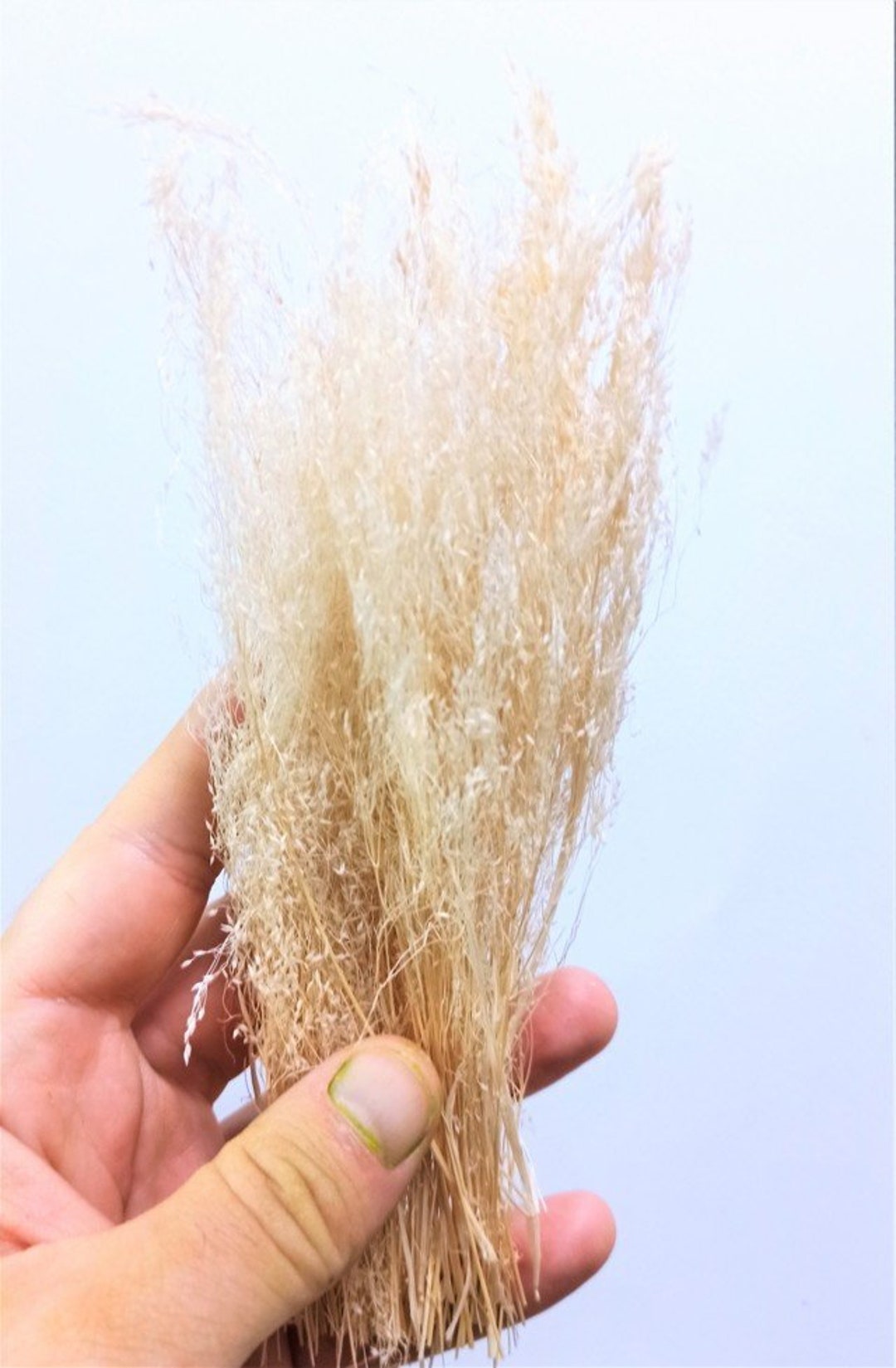 View of Dry Grass Effect Bleached by Intense Sun Diorama Nativity Scene - Etsy
