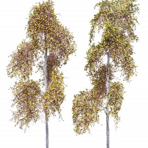 2x Abedul del bosque 18-22 cm 52-2313