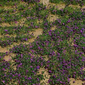 Tufts with leaves – 3/5 mm medium/dark green leaves with purple flowers b21