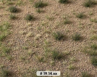 desert grass and soil 18.5 x 28 cm approximately queues:19.14