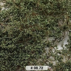 Puede incluir: Follaje verde para modelismo ferroviario u otros proyectos de artesanía. El follaje es suelto y se puede utilizar para crear arbustos y árboles de aspecto realista. # 08.72