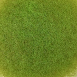 Może przedstawiać: Zbliżenie na zielony, puszysty materiał przypominający trawę. Materiał jest miękki i fakturowany, idealny do rękodzieła lub modelarstwa.