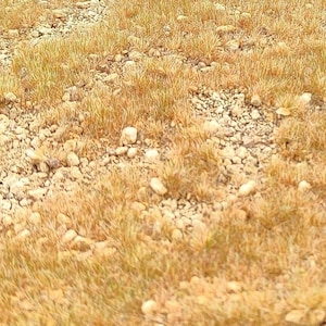 Crushed base - ground with crushed stone and autumn grass A4 wg152s