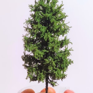 May include: A miniature green pine tree model with a brown wooden base. The tree is held in a person's hand.