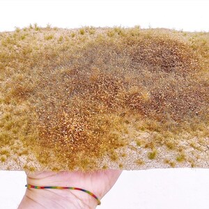 Desert and arid base type 7 - A4 format wg806