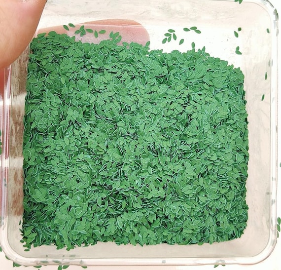 10,000 Leaves (about 20 Grams) Professional Leaves Defined Forest