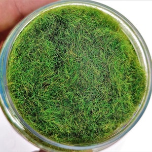 4mm Flock Static Grass – Swamp Green (250ml) DioramaNativity scene