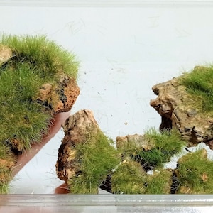 cork rocks with wild green electrostatic grass