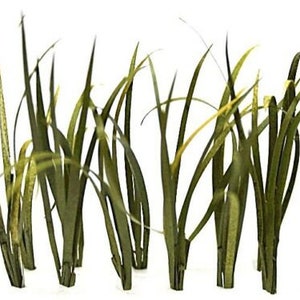 Tropical jungle grass 5 tufts high about 5/7 cm scale 1/35 TPV06