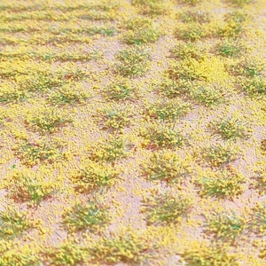 Grass Tufts 4-5 mm wild grass yellowish flowers