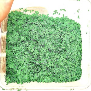May include: A clear plastic container filled with small, green leaf-shaped confetti. The confetti is densely packed, with a few pieces scattered outside the container. The leaves have a detailed, realistic appearance, suggesting a craft or decorative item.