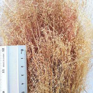 Dry Grass for Nativity Scenes and Dioramas
