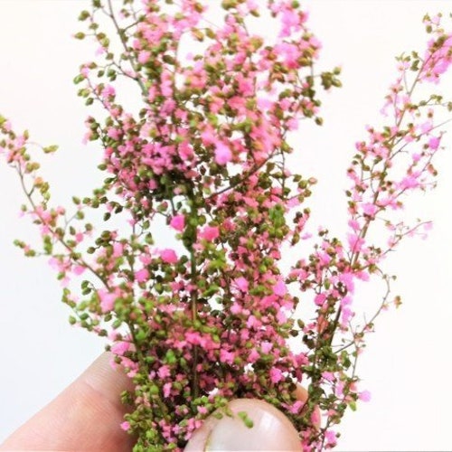 Accessories Diorama Vegetation for the Diorama Model Railway Etsy