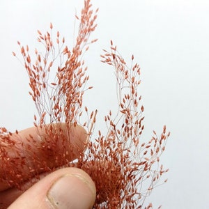 Dry reddish grass for nativity scenes and dioramas