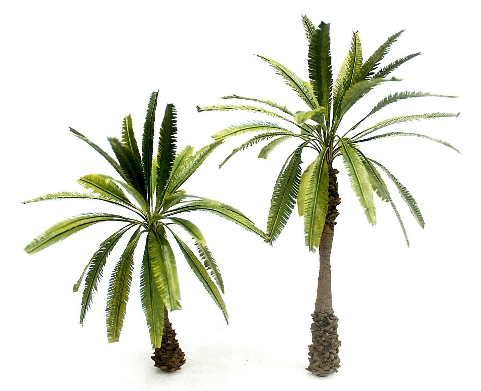 2 Palm Trees Pots for sale Only 2 left at 65