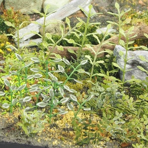 Matho 35036 Plants and Beccacci B models - 1/35 scale