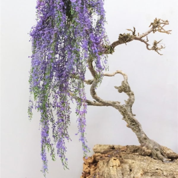 Kit d'accessoires DIY pour diorama, maison de poupée et paysage naturel pour modélisme