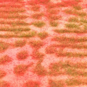 Grass Tufts 4-5 mm wild grass red flowers