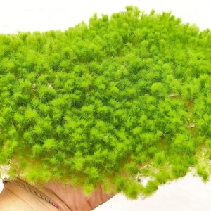 Grass Tufts ready base tufts of light green grass Mix 15 - 20 - 30 mm DP30-03
