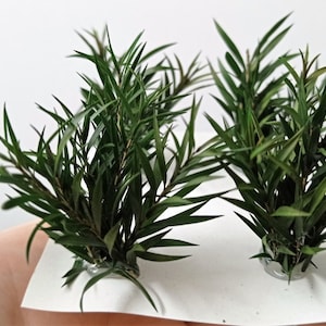 WarHammerGreen Jungle Bushes 3/6 cm dark green 6pcs vegetation for diorama, dollhouse or professional model making