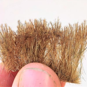 27 mm tall - 22 new dark dry grass tufts dip20980
