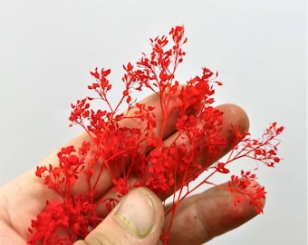 Armor Fabio – Deep Red Bush DIORAMA