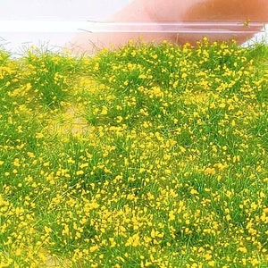 Tufts of grass 2-4 mm with yellow flowers 3/5 mm high dip88137