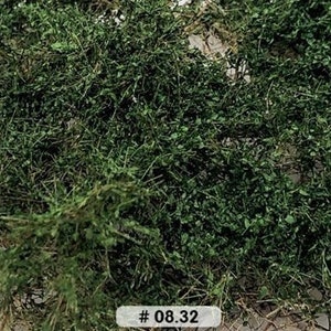 Puede incluir: Primer plano de un material verde, frondoso y texturizado. El material se utiliza para el modelismo ferroviario y otras manualidades. # 08.32