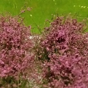 8 Bushes 12-25 mm height with ready-to-use pinkish flowers for diorama, Scale Models, model scene, Miniature, Landscape gmfgtp