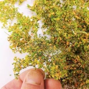 Foliage, Bush or Tree Crown W31 + 32 + 18 Green and Orange Leaves Diorama Landscape