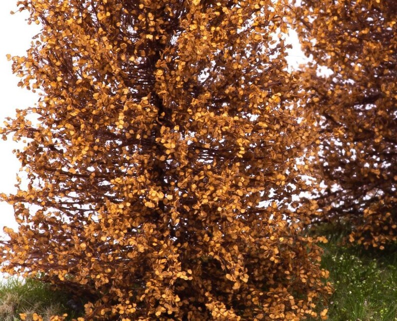 May include: A close-up of a tree with brown leaves. The leaves are densely packed and create a textured, almost fuzzy appearance. The tree is in a natural setting, with some green grass visible at the bottom of the image.