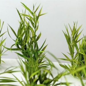 vegetation for diorama, dollhouse or professional model making