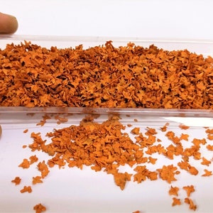 Natural Leaves Mix Orange Autumn Pro realistic