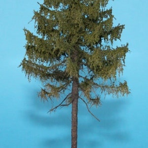 Tall larch (forest) 1/35, 1/48 – 25/28 cm – MPW 4